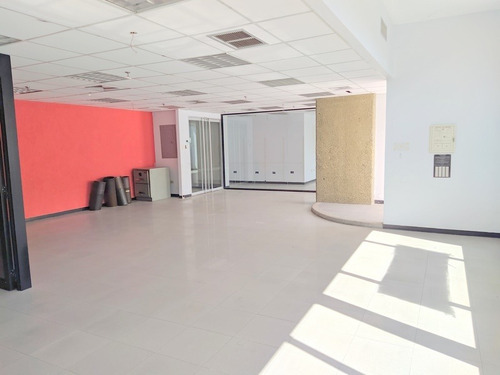 Imagen 5 de 9 de Se Alquila Oficina 220m2 La Trinidad 3374