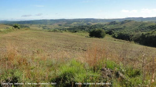 Área Rural Para Venda Em Mariana Pimentel, Boqueirão - 1153_1-779115