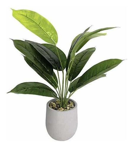 16 Pequeñas Plantas Verdes Artificiales Ficus Elastica...