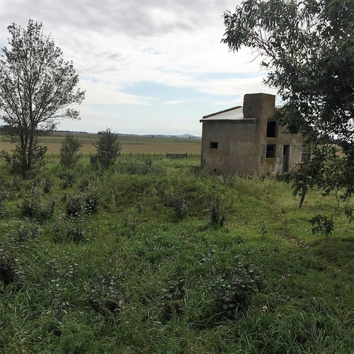 Imagen 6 de 14 de Campo 66 Hs Agricola-ganadero En Balcarce