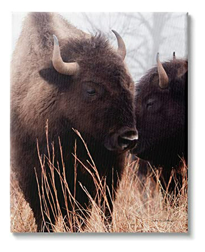 Repelente De Plagas - Stupell Industries Bison Cattle Couple