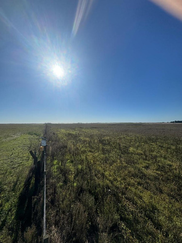 Campo En Saladillo