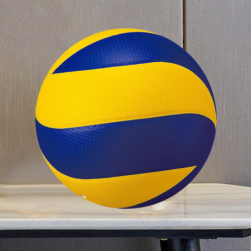 Standard Size 5 Volleyball Pu Leather Match Volleyball