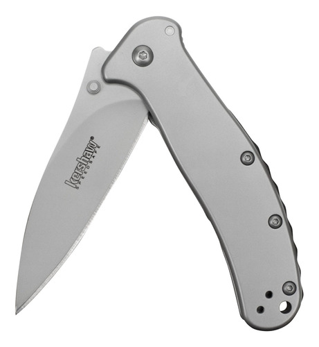 Cuchillo Zing De Acero Inoxidable Kershaw 1730ss Con Velocid