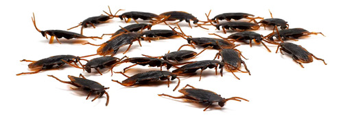 Kit 25 Cucarachas Falsas Plásticas Broma Halloween Insectos