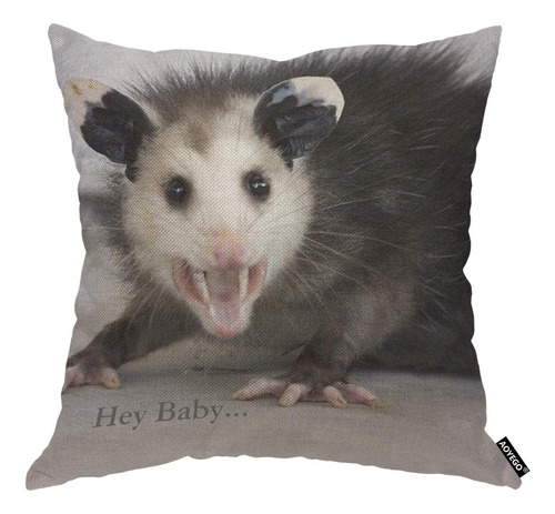 Aoyego Hey Baby Opossum, Funda De Almohada Con Diseño De Ani