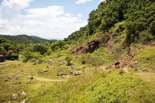 Imagem 10 de 13 de Terreno Residencial À Venda, Balneário Praia Do Pernambuco, Guarujá - Te0262. - Te0262