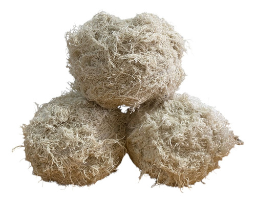 Totora Handira Cruda ¡ovillada Por 10kg! Crema