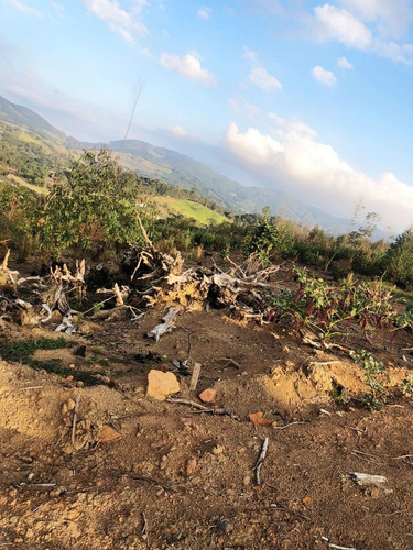 Imagem 19 de 25 de Ll- Vende-se Terreno Com Acesso Para Represa