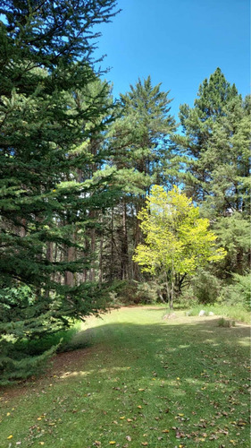 Casa De Campo Y Parque. Lugar Único En Tafí Del Valle