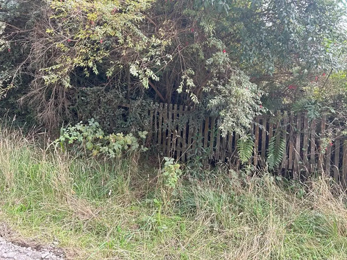 Sitio En Venta En Frutillar