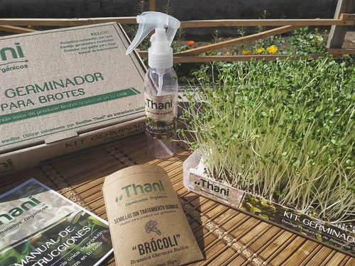 Imagen 4 de 8 de Kit Germinador De Brotes Vegetales + Semillas X5 Unidades