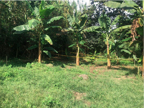 Lote En Venta Albania Cuba - Pereira (279056102).