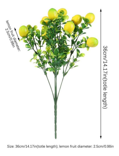 Rama De Limón-