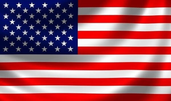 Bandera Americana Estados Unidos de América Vinilo Calcomanía Adhesivo