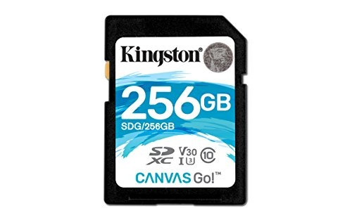 Kingston Digital Lona Ir 256 Gb Sdxc Tarjeta De Memoria Sd D