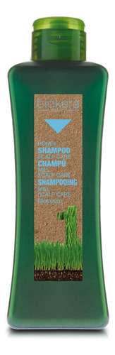 Champú Salerm Cosmetics Biokera Natura Scalp Care 1000 Ml