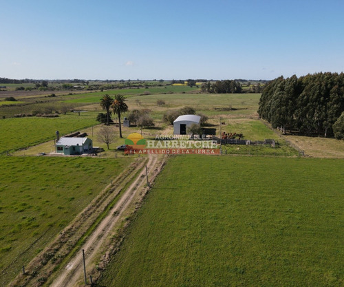 Campo En Venta 18 Has Canelones, Con Todas Las Instalaciones!