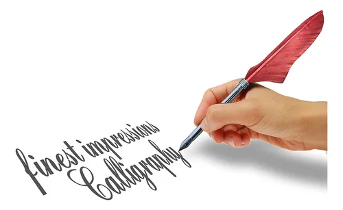 Juego De Bolígrafos De Caligrafía | Kit De Pluma Francesa De