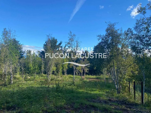 Parcela Sector Pte Luengo Caburga (agua/luz) (170307)