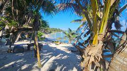 Terreno Frente Al Mar En La Playa En   Xcalak , Costa Maya, Mahahual C2650