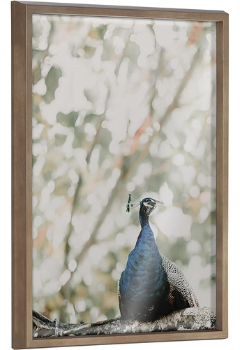 Kate Y Laurel Blake Peacock Framed Printed Glass Wall Art Po