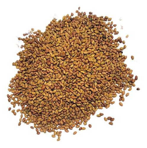 Semillas De Alfalfa Rr X15kg