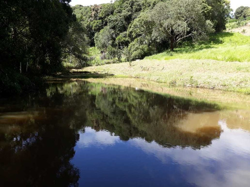 Imagem 1 de 4 de Com Área De 10.283 M² Cercada, Terreno Limpo, Platô Pronto