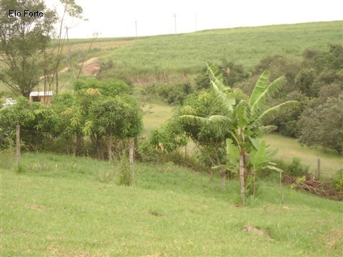 Imagem 5 de 18 de Sitio A Venda, Sitio São Luiz, Elias Fausto - St00044 - 1818833