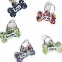 Comprar Chapitas Identificatorias Personalizada Perros Pequeños