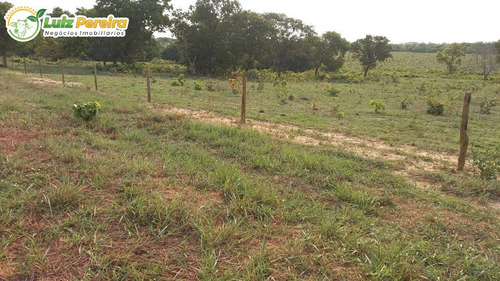 Imagem 1 de 14 de Fazenda Á Venda Em Rio Verde - Ms - 4.200 Hectares (dupla Aptidão) - 2167