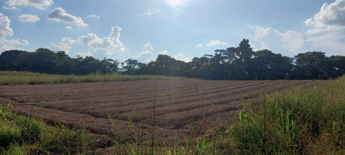 Imagem 20 de 23 de 03o-preços De Terreno Que Vai Caber No Seu Bolso