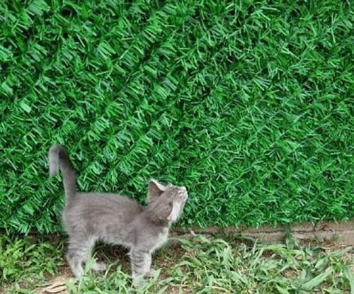 Cubre Cerco Jardín Vertical Tipo Cesped Artificial 1.2x5 M