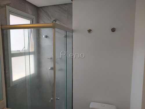 Imagem 12 de 30 de Apartamento Á Venda E Para Aluguel Em Cambuí - Ap028608
