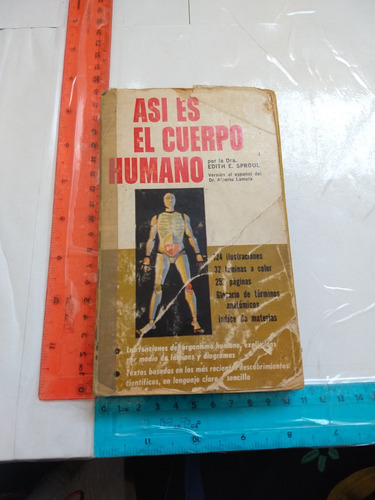 Así Es El Cuerpo Humano Edith Sproul 