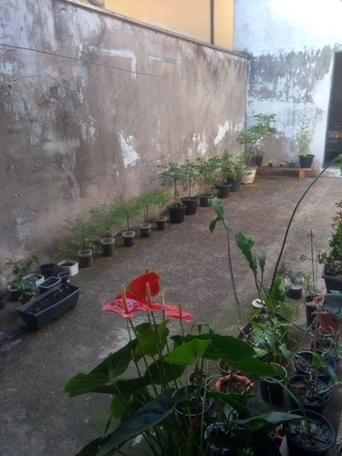 Imagem 22 de 28 de Casa - Ca00309 - 69354030