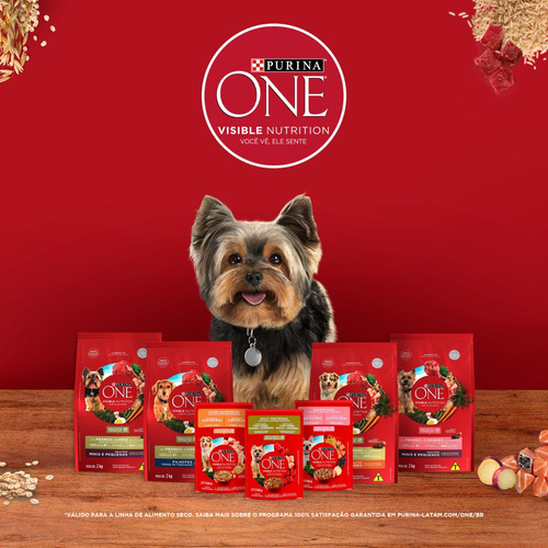 Ração Úmida Purina One Cães Adultos E Filhotes Salmão 85g