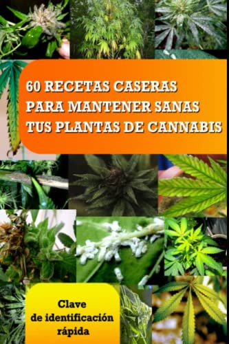 60 Recetas Caseras Para Mantener Sanas Tus Plantas De Cannab