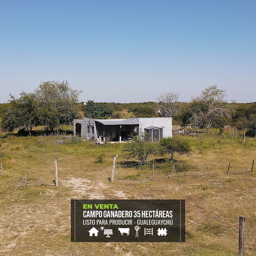 Campo Ganadero De 35 Hectáreas Con Mejoras, Gualeguaychú.