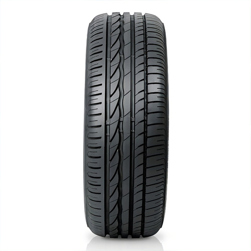 Pneu 245/45r17 Bridgestone Turanza Er300 95w