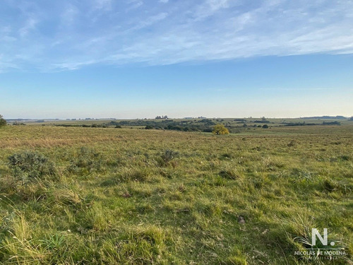 Campo En José Ignacio
