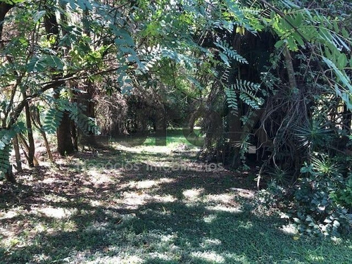 Imagem 9 de 9 de Terreno À Venda Em Vale Verde - Te006030