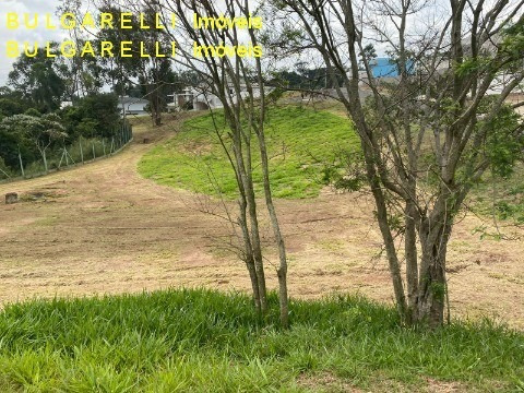 Imagem 14 de 25 de Terreno - Te01195 - 71010657