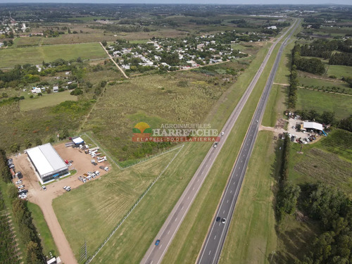 Terreno Logístico Sobre Ruta 5 Con 200 M De Frente, Dueño Financia!