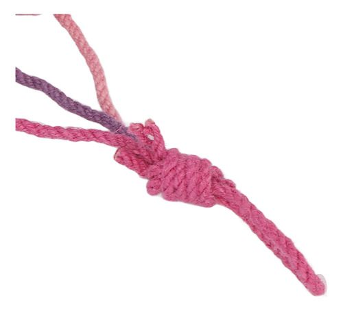 Cuerda Colorida Y Masticable Interactiva Para Colgar Con For