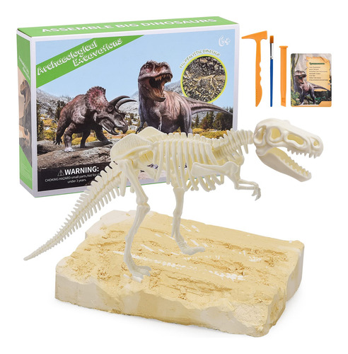 Kit De Excavación De Fósiles De Dinosaurio, Esqueleto Educat