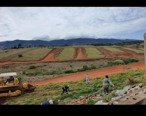 Imagem 10 de 13 de Terreno - Te00052 - 69194428