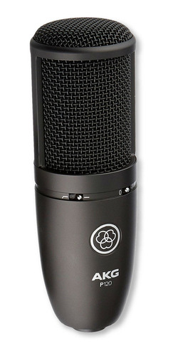 Imagen 5 de 12 de AKG P120 - Negro