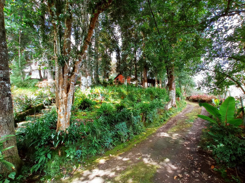 Imagen 2 de 30 de Vendo Bonita Granja, Media Manzana De Terreno, Ubicada A Orilla De Carretera Pavimentada, Muy Cerca De San Lucas Sacatepequez