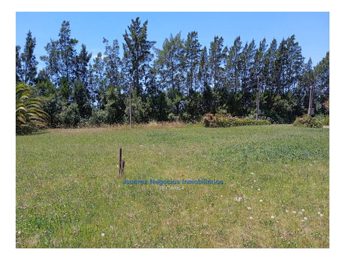 Imagen 18 de 22 de Js: Venta Excelente Chacra Abayuba Cw189854